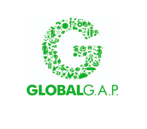 globalgap.png2_ globalgap.png2_