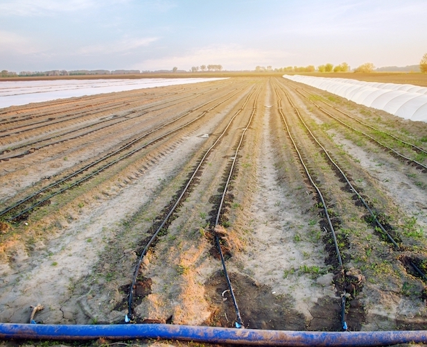 gestion de leau champpom