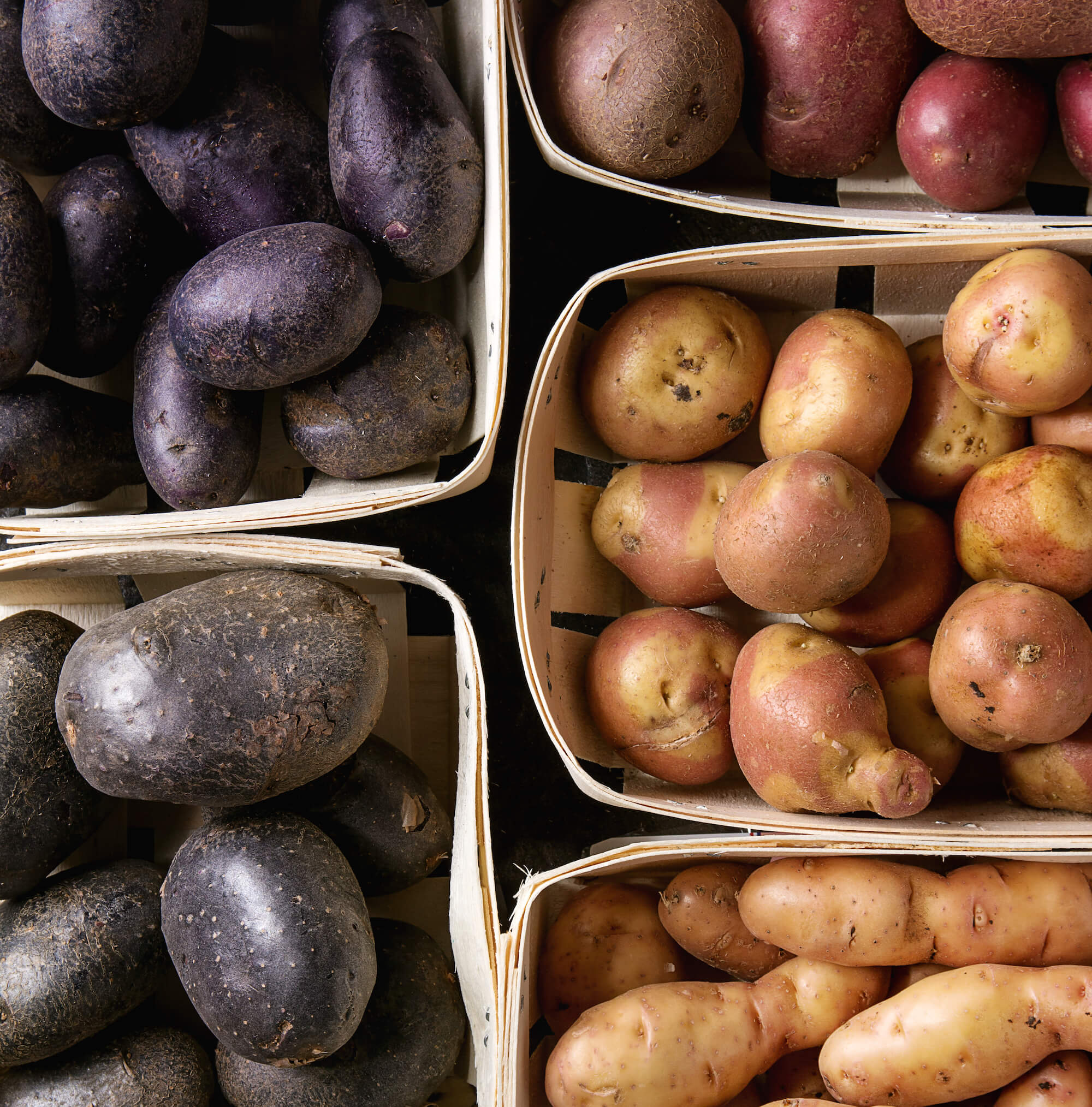 variétés de patate variétés de patate