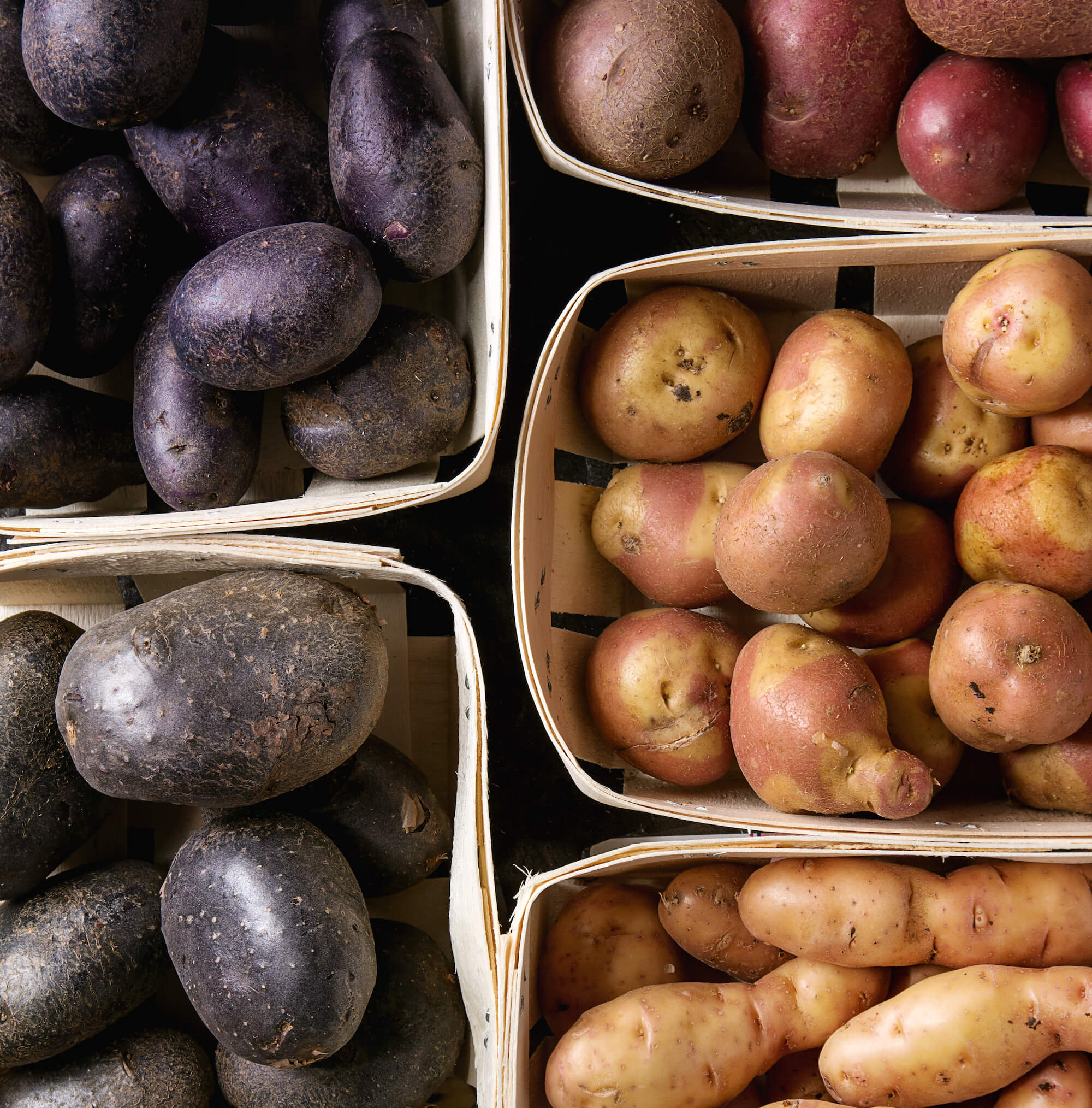 variétés de patate