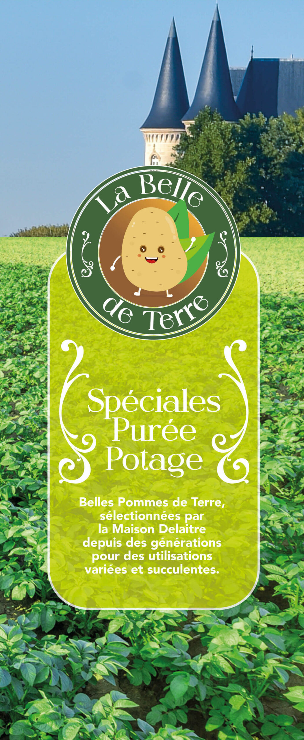 PACK 2Kg BDT3 PACK 2Kg BDT3