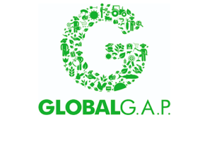 globalgap.png2_ globalgap.png2_