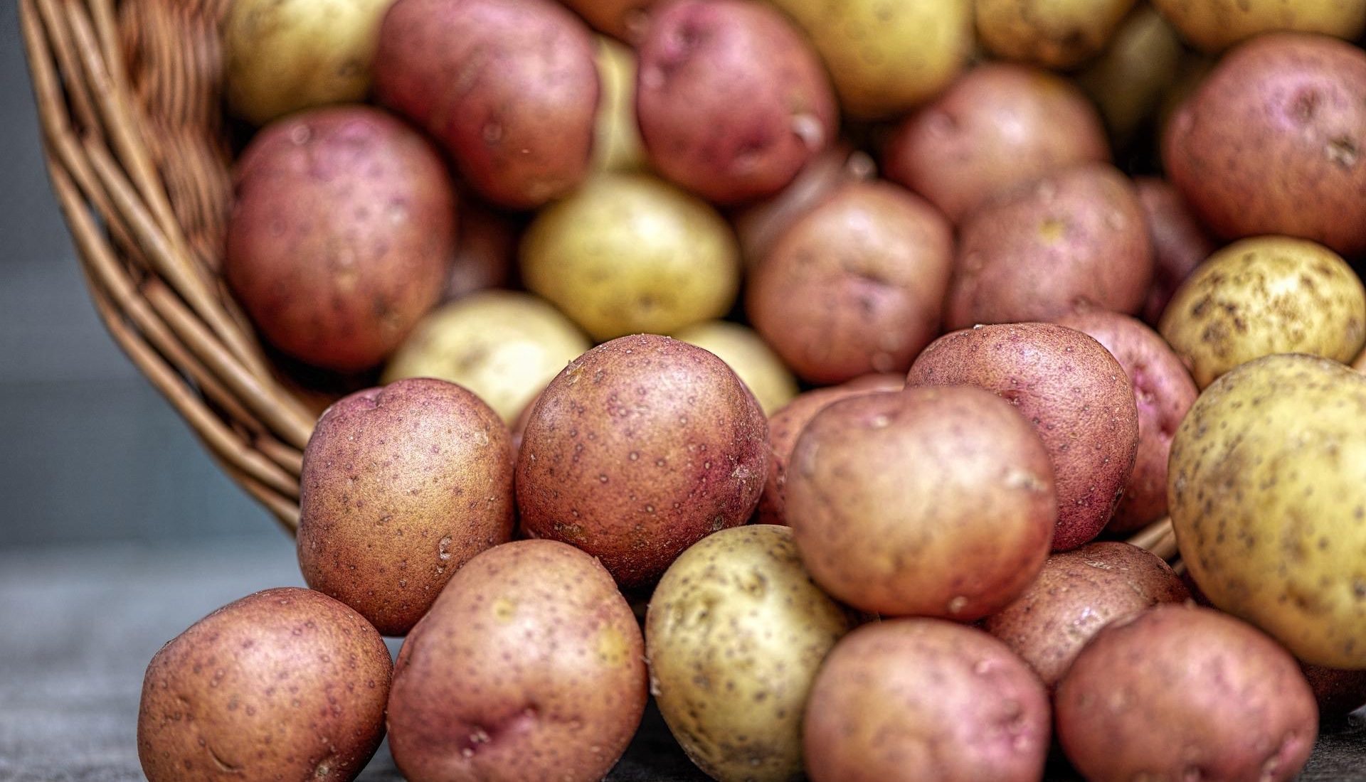 potatoes-g5d2db6670_1920 potatoes-g5d2db6670_1920